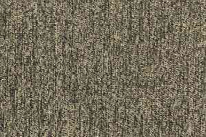 Ковролин Blaze W2W 270 фото  | FLOORDEALER